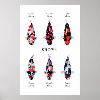 Poster arter av japansk koifisk: Showa