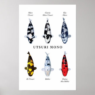 Poster arter av japansk koifisk: Utsurimono