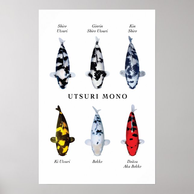 Poster arter av japansk koifisk: Utsurimono (Framsidan)