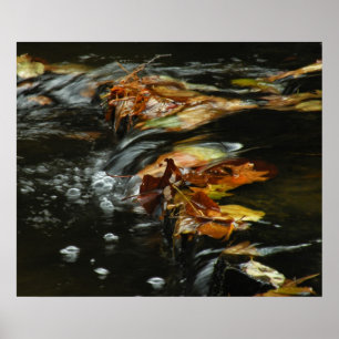 Poster Autumn Stream Cascade Photo
