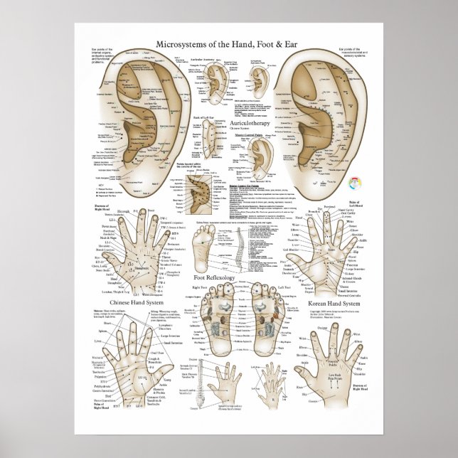 Poster av akupunktur för mikrosystem (Framsidan)