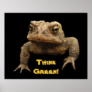 Poster av American Toad Earth Day