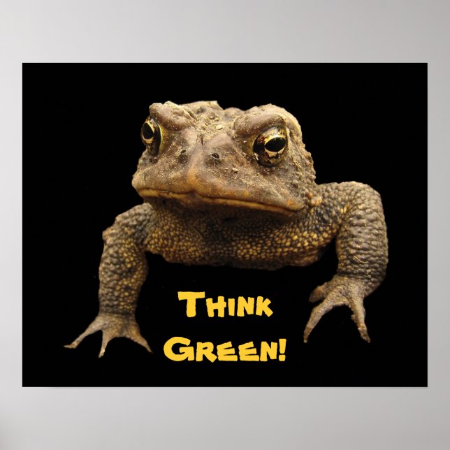 Poster av American Toad Earth Day (Framsidan)