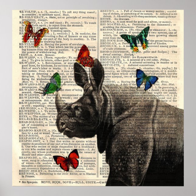 Poster av ändrad art Rhinoceros Butterflies (Framsidan)