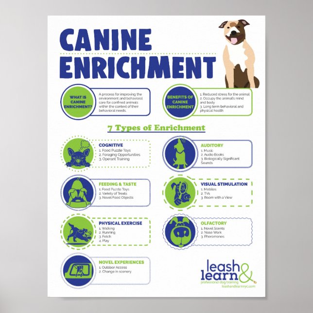 Poster av anrikning av hund (Framsidan)