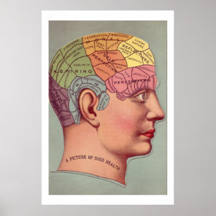 Poster av antik Phrenologihuvud