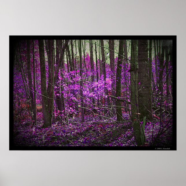Poster av avläst lavender-drömmar (Framsidan)