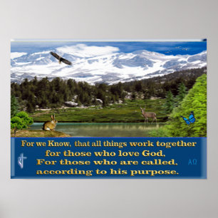 Poster av avslöjandeskript