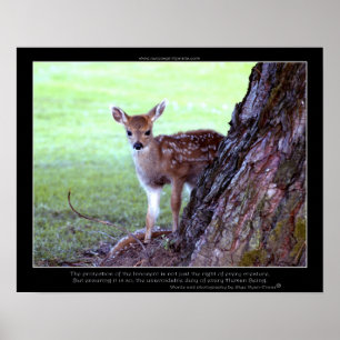 Poster av baby Hjort Fawn Photo & Dikt
