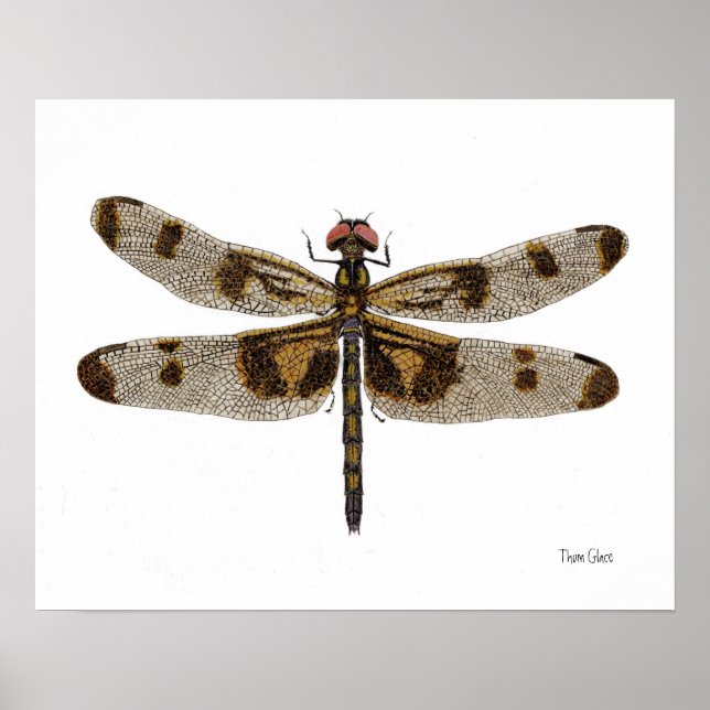 Poster av Banant Dragonfly Art (Framsidan)