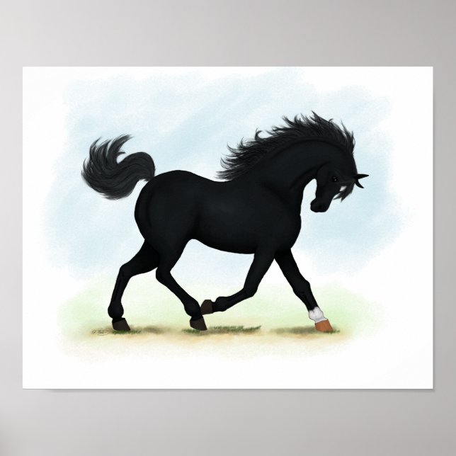 Poster av Black Beauty (Star & Sock) Trotting Hors (Framsidan)