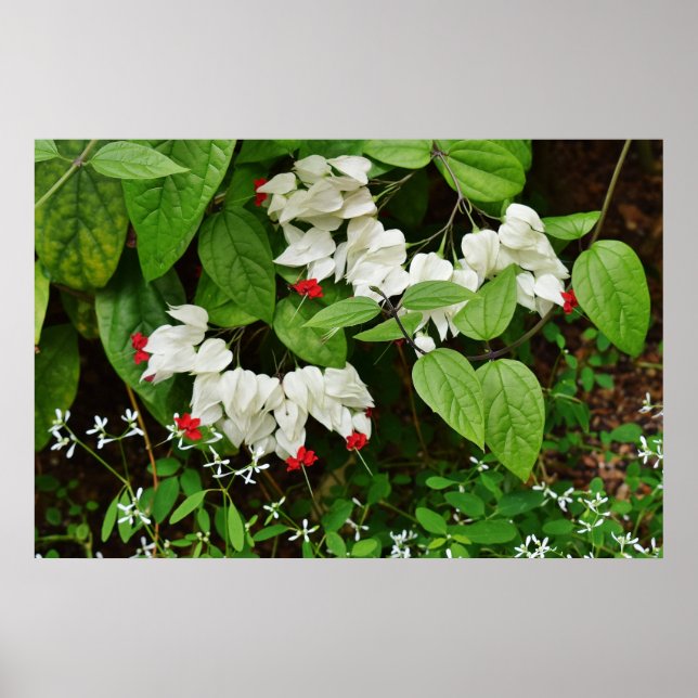 Poster av blödningshjälpmedel (Framsidan)