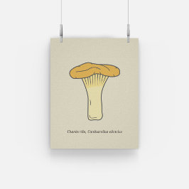 Poster av botaniska Chanterelle Mushroom