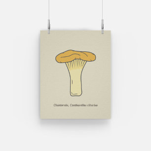 Poster av botaniska Chanterelle Mushroom