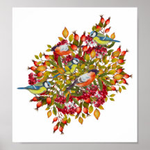 Poster av botaniska växter och fåglar