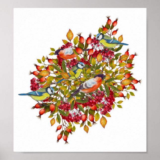 Poster av botaniska växter och fåglar (Framsidan)