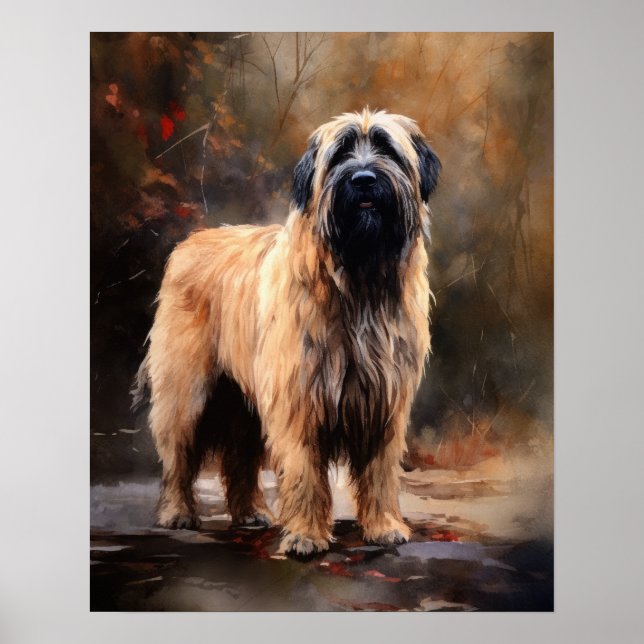 Poster av Briard Hund Art Print (Framsidan)