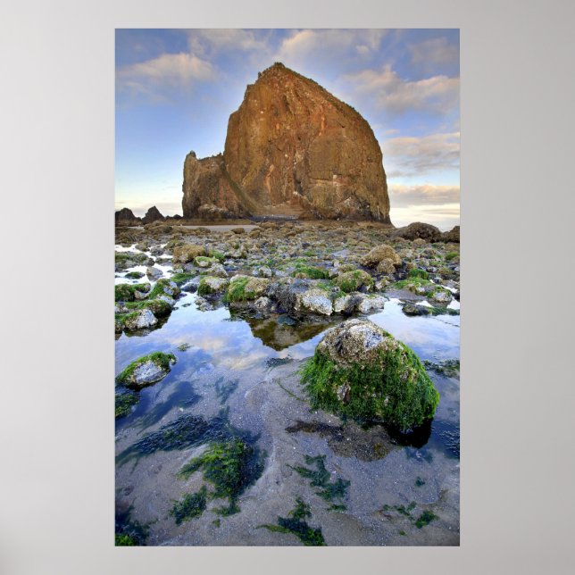 Poster av Cannon Beach Haystack Sten Low Tide Oreg (Framsidan)