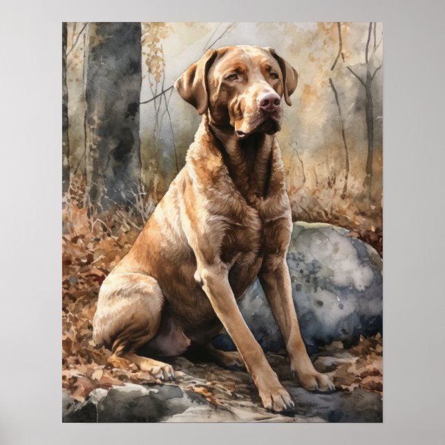 Poster av Chesapeake Bay Retriever Hund Art Print (Framsidan)