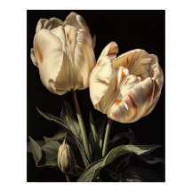 Poster av Cream Tulip Flowers Art Print