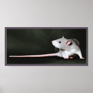 Poster av Cute Råtta-målning