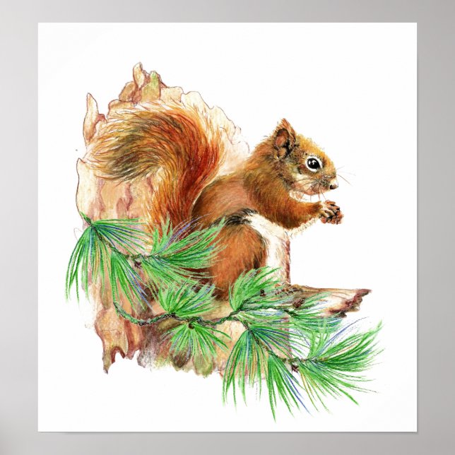 Poster av ekorre Animal Wildlife (Framsidan)