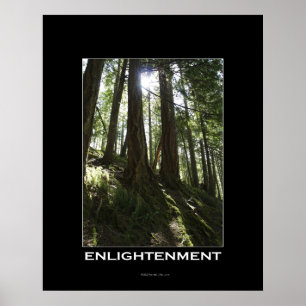 POSTER av ENLIGHTENMENT Forest Motivational Photo