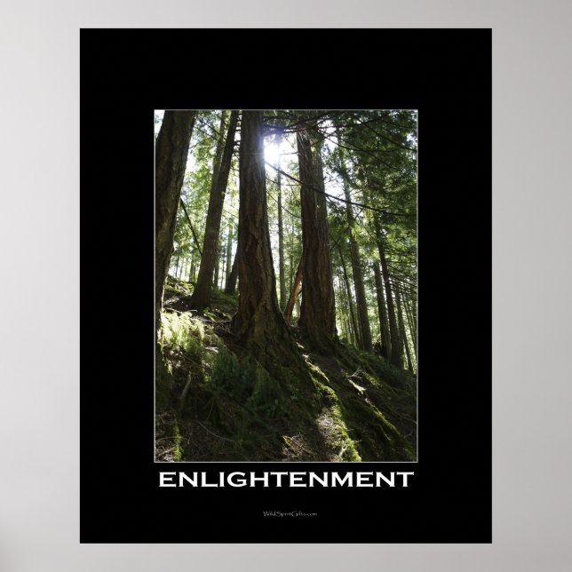 POSTER av ENLIGHTENMENT Forest Motivational Photo (Framsidan)