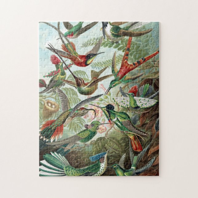 Poster av Ernst Haeckel Colorful Hummingbird Pussel (Vertikal)