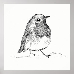 Poster av fåglar/Wall Art Robin