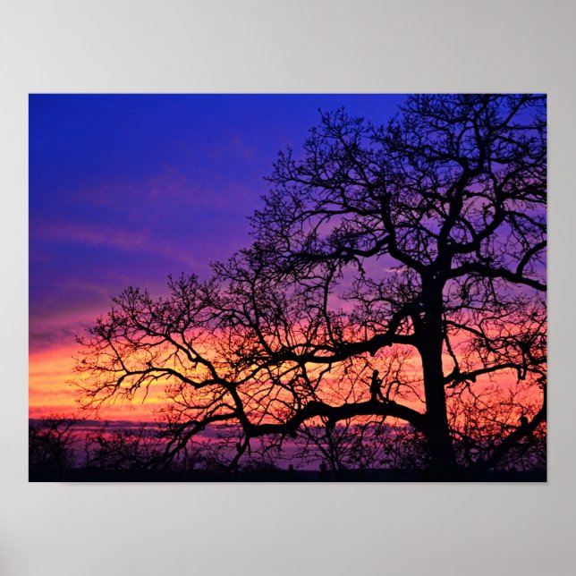 Poster av Fairy Girl Silhouetted Träd Sunset  (Framsidan)