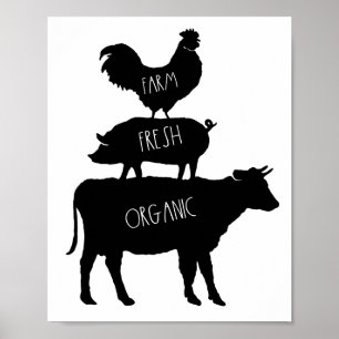 Poster av färsk ekologisk Tupp Gris Cow