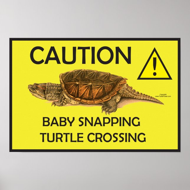 Poster av fästning av sköldpadda (Framsidan)
