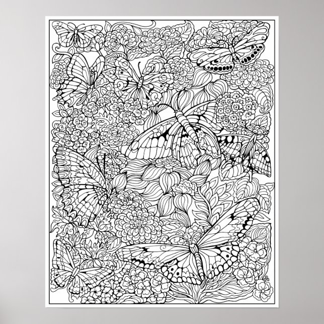 Poster av fjäril Garden Coloring (Framsidan)