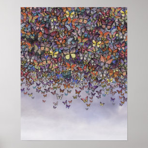 poster av fjärilskrascade