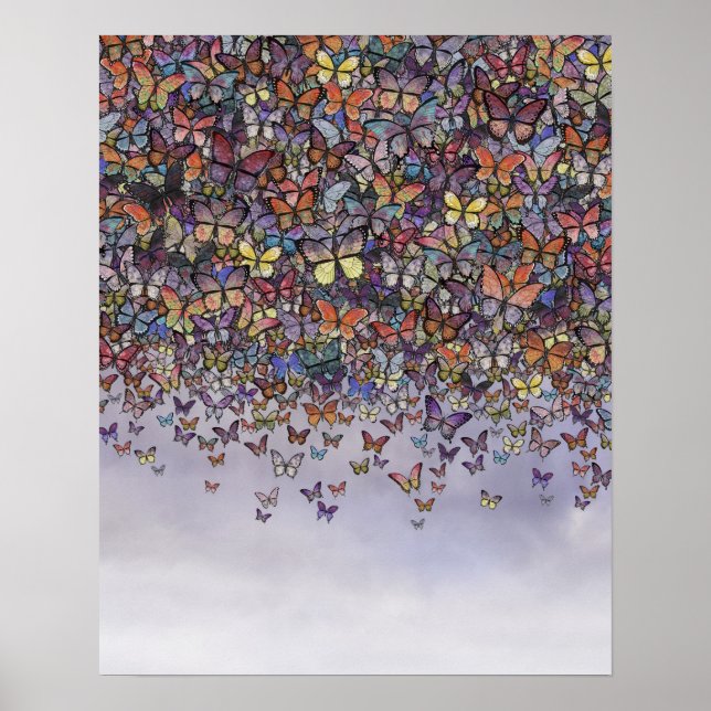 poster av fjärilskrascade (Framsidan)