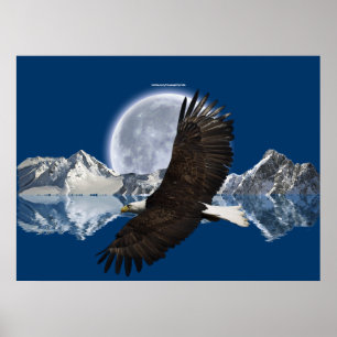 Poster av flytande Örn, berg och Måne Art