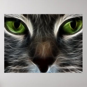 Poster av foto från kattdjur