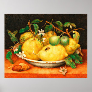 POSTER AV FRUKTBLOMMOR OCH VITBLOMMOR