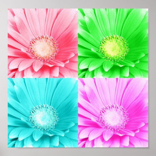 Poster av Gerbera Daisy Canvas (Framsidan)