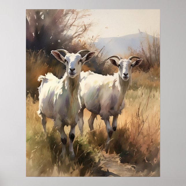 Poster av Goat Farm Animal Art Skriv ut (Framsidan)