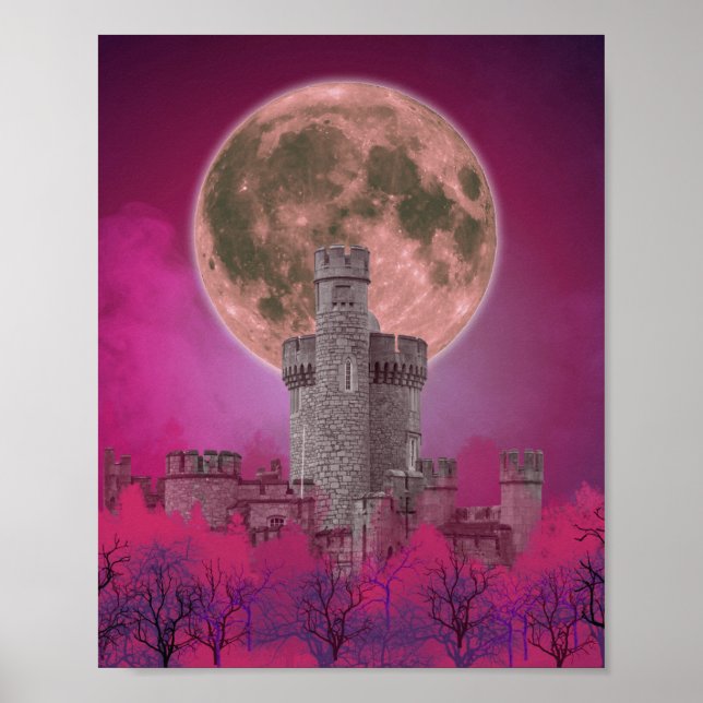 Poster av Gothic Castle Hunted Forest (Framsidan)