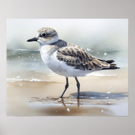 Poster av grått Plover Bird Art-utskrift