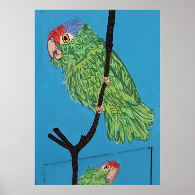 poster av grönt parrot (Framsidan)