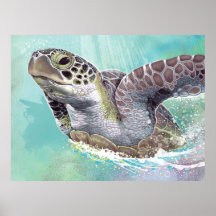 Poster av grönt Sea Turtle