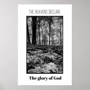 Poster av Gud i Black and White Forest Glory