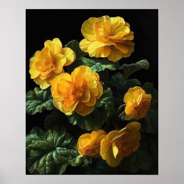 Poster av gult Begonia Flowers Art-utskrift (Framsidan)