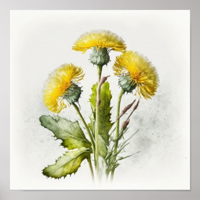 Poster av gult Dandelions Flower Art-utskrift (Framsidan)