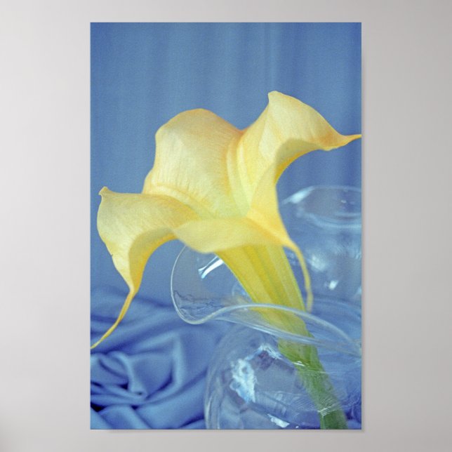 Poster av gult Datura Flower Wall Art-utskrift (Framsidan)