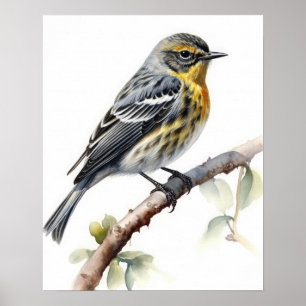 Poster av Gult rumpad Warbler Bird Art-utskrift